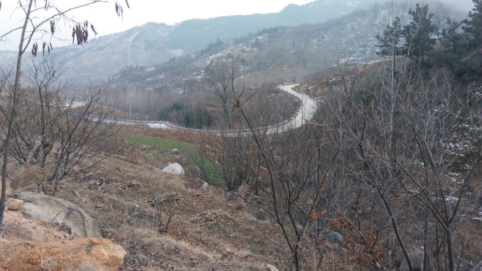 QQ图片20161220071317.jpg