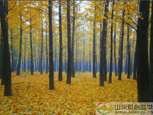 有一种美丽叫邂逅，有一种奉献叫无私，有一种爱叫期待。。。当我们在助