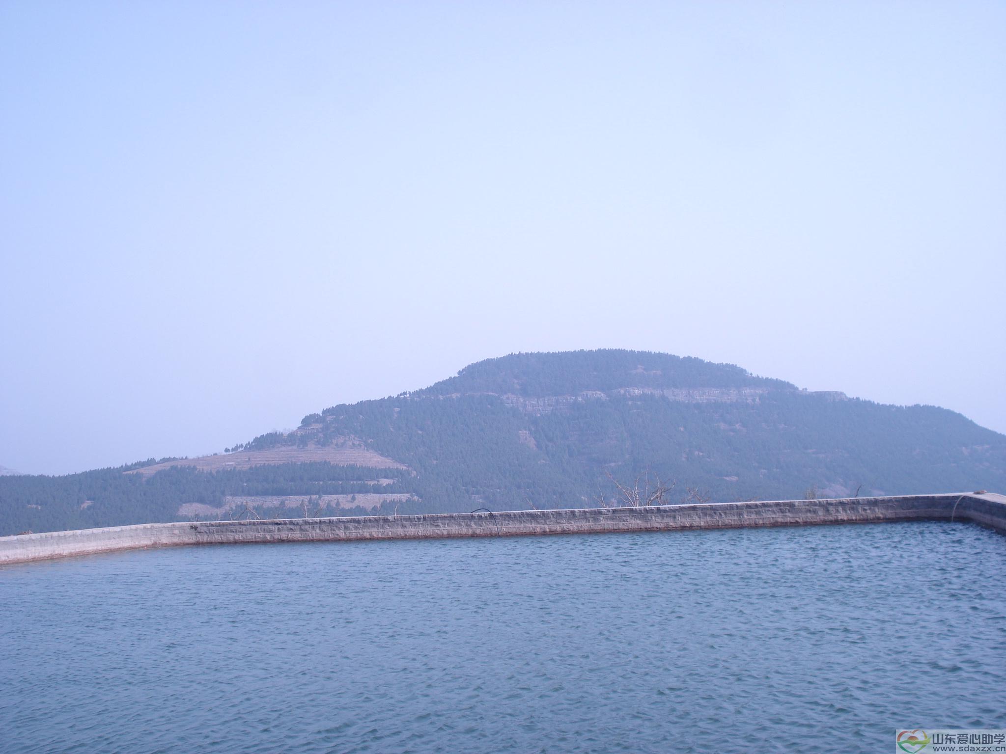 DSC02618.JPG