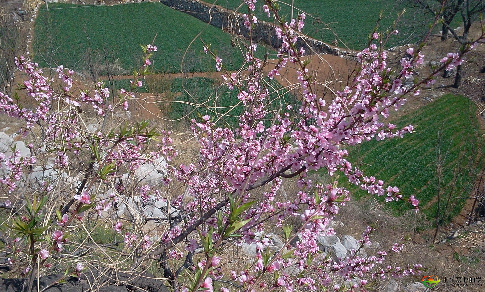 2013-04-21 13.29.32.jpg